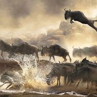 Basma AlGhamdi's Photo