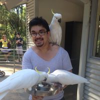 Jameel Rehman的照片