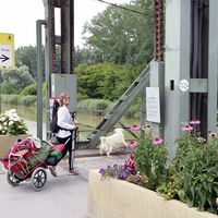 Kristin Graham's Photo