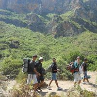 ismael Zanzan's Photo