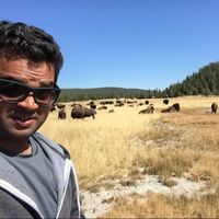 Fotos de Chinmay Gupte