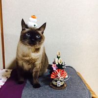 Takuto Ogawa's Photo