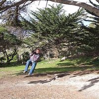 Viola Reiners's Photo