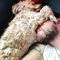 Metehan Mete的照片