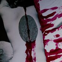 Virginia Di Lauro's Photo