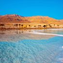 Dead Sea Trip's picture