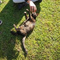 Evaristo Montaño Camacho's Photo