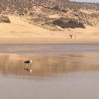 Naema SLIMANI's Photo