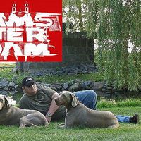 Dieter Greve's Photo