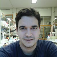 caio oliveira的照片