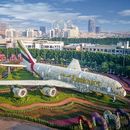 Blossoms of Wonder at Dubai Miracle Garden 🌸🌼🌷's picture
