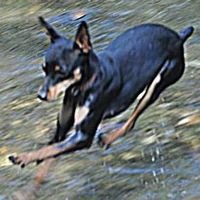 Victor Manuel Diaz Garcia's Photo