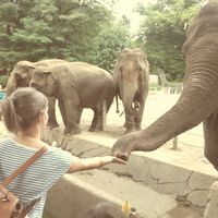 Anja Frisch的照片