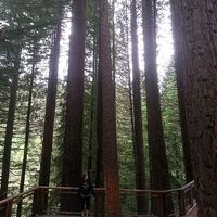 Фотографии пользователя Danielle Richmond