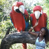 Anna Carla Alberto的照片