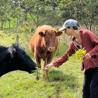 Photos de Manuela Villa