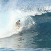 Malachi Prince的照片