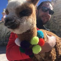 Giorgio De Zen的照片