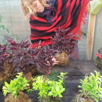 Fanni Butala的照片