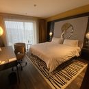 Free Hotel Room In Zurich For Hosting's picture