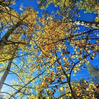 Troy Wilkins's Photo