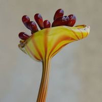 Jane Mamoiselle的照片