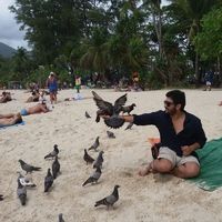 Taha El-sa'eed的照片