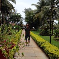 mehrdad safaei's Photo