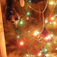 Julia Plokhaya的照片