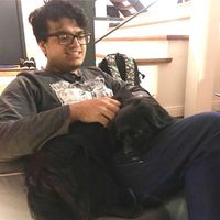 Ganesh Hegde的照片