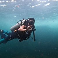 Mattheus Ikezawa的照片