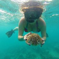 Nicole Zelingher的照片