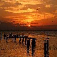 Elenita De la Torre's Photo