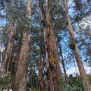 Reunión De Viajeros En Machachi 的照片