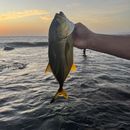 Diving 🤿's picture