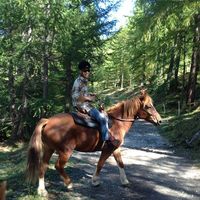 Mattia Oneworld的照片