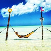 Fernando Hz的照片