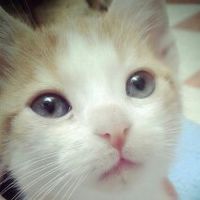 Photos de Fatima Zahra Lamkadmi