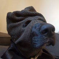 Jonathan Dahlin的照片