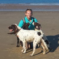 David Fisher的照片