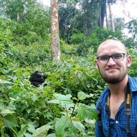 Fotos de László Vörö