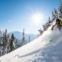 Maxime Mireault's Photo