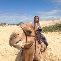 Le foto di Alexandra Bolt Tardel