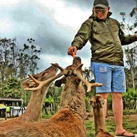 Erlangga Saputra的照片