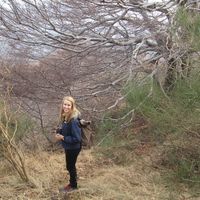 Henrike Krumpholz的照片