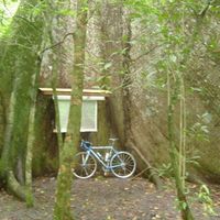 Eduardo Rojas Benavides's Photo