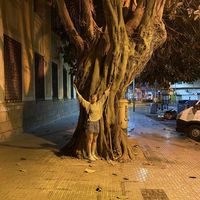 Simone Wenth的照片