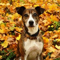 Buddy Buddiños's Photo