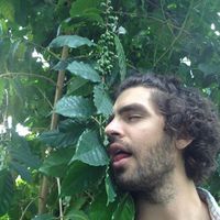 Le foto di Douglas Strodtman