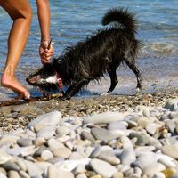 Francesca Mulazzani's Photo